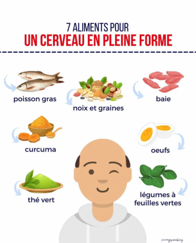 Les aliments pour un cerveau en pleine forme : Nourrissez votre intelligence